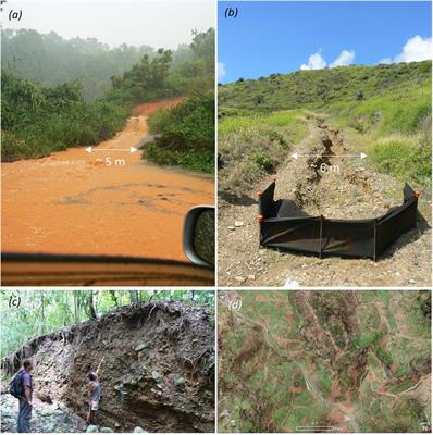 Assessing Effects of Sediment Delivery to Coral Reefs: A Caribbean Watershed Perspective